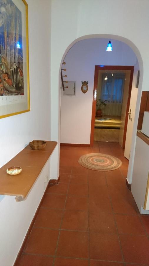 Apartament Down-town-oasis *